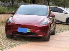 Tesla Model Y Rear-Wheel Drive - ფოტო 1