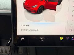 Tesla Model Y Rear-Wheel Drive - ფოტო 16