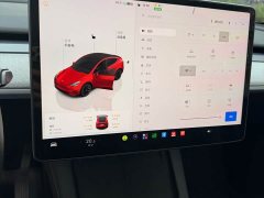Tesla Model Y Rear-Wheel Drive - ფოტო 17