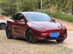 Tesla Model Y Rear-Wheel Drive - ფოტო 2