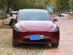 Tesla Model Y Rear-Wheel Drive - ფოტო 3