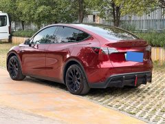 Tesla Model Y Rear-Wheel Drive - ფოტო 4
