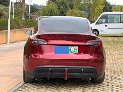Tesla Model Y Rear-Wheel Drive - ფოტო 5