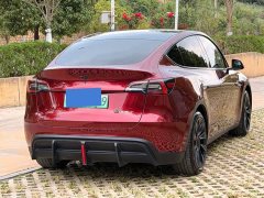 Tesla Model Y Rear-Wheel Drive - ფოტო 6