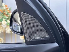 BMW X5 2023 xDrive 40Li M Sport Exclusive Night Edition Package - ფოტო 10