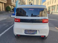 BMW Hongguang MINIEV 2020 Zizai Edition LFP Battery - ფოტო 16