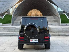 Mercedes-Benz G-Class G 350 d - ფოტო 5
