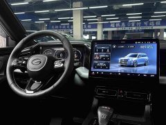 GAC Aion GS8 Pioneer Series 2.0T GDI AWD Luxury 7-Seater - ფოტო 19