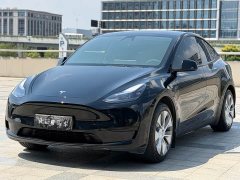 Tesla Model Y Rear-Wheel Drive - ფოტო 1