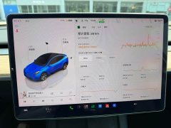 Tesla Model Y Rear-Wheel Drive - ფოტო 13