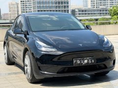 Tesla Model Y Rear-Wheel Drive - ფოტო 3