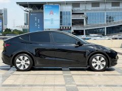 Tesla Model Y Rear-Wheel Drive - ფოტო 7