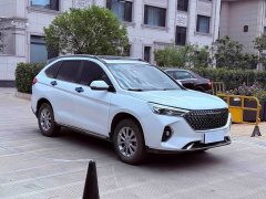 Haval M6 2021 PLUS 1.5T DCT Luxury Smart Connected Edition - ფოტო 3