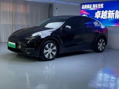 Tesla Model Y Long Range All-Wheel Drive - ფოტო 1