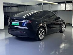 Tesla Model Y Long Range All-Wheel Drive - ფოტო 13