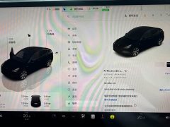 Tesla Model Y Long Range All-Wheel Drive - ფოტო 7