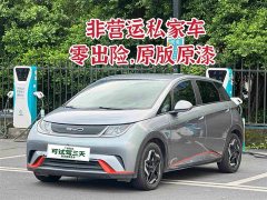 BYD Dolphin 405km Freedom Edition - ფოტო 2
