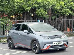 BYD Dolphin 405km Freedom Edition - ფოტო 4