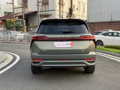 Great Wall WEY Blue Mountain Four-Wheel Drive Ultra - ფოტო 11