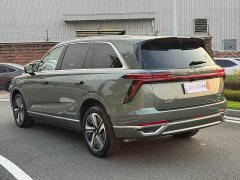 Great Wall WEY Blue Mountain Four-Wheel Drive Ultra - ფოტო 13