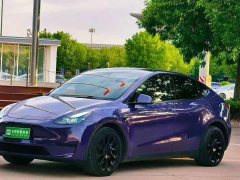Tesla Model Y 2022 Rear-Wheel Drive - ფოტო 1