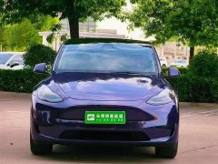 Tesla Model Y 2022 Rear-Wheel Drive - ფოტო 2