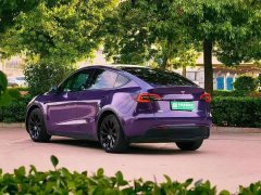 Tesla Model Y 2022 Rear-Wheel Drive - ფოტო 4
