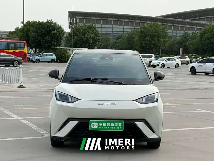 BYD Seagull Flying Edition