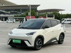 BYD Seagull Flying Edition - ფოტო 2