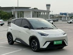 BYD Seagull Flying Edition - ფოტო 3