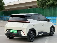 BYD Seagull Flying Edition - ფოტო 5