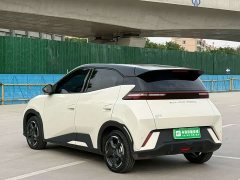 BYD Seagull Flying Edition - ფოტო 6