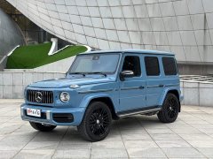 Mercedes-Benz G-Class 2022 G 350 - ფოტო 1