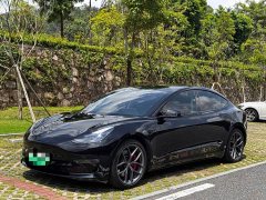 Tesla Model 3 Performance All-Wheel Drive - ფოტო 1