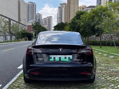 Tesla Model 3 Performance All-Wheel Drive - ფოტო 8
