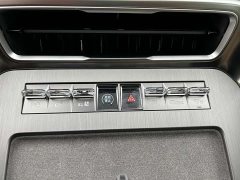 Denza BYD Denza N9 Premium Edition - ფოტო 13