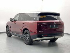 Denza BYD Denza N9 Premium Edition - ფოტო 19