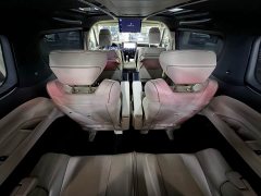 Toyota Alphard Hybrid 2.5L Premium Gold Edition - ფოტო 14