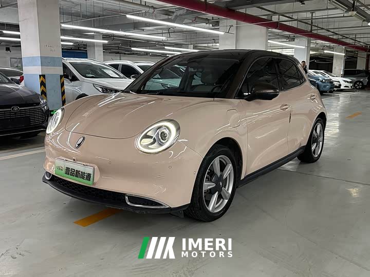 ORA Good Cat 400km Standard Range Athena Edition Ternary Lithium - ავტომობილი ჩინეთიდან