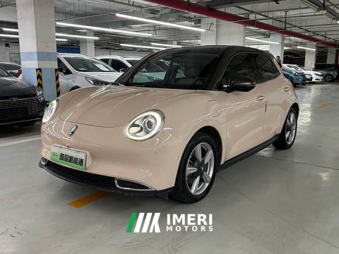 2021 ORA Good Cat 400km Standard Range Athena Edition Ternary Lithium - ავტომობილი ჩინეთიდან