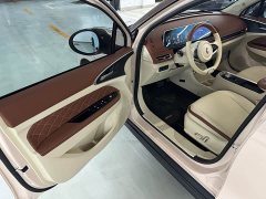 ORA Good Cat 400km Standard Range Athena Edition Ternary Lithium - ფოტო 11