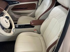 ORA Good Cat 400km Standard Range Athena Edition Ternary Lithium - ფოტო 12