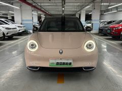 ORA Good Cat 400km Standard Range Athena Edition Ternary Lithium - ფოტო 2