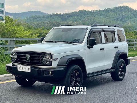 2022 Tank 300 2021 Off-Road Edition 2.0T Challenger - ავტომობილი ჩინეთიდან