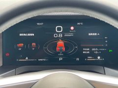 Tank 300 2021 Off-Road Edition 2.0T Challenger - ფოტო 8