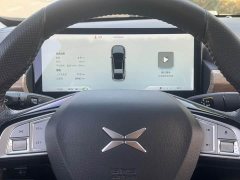 XPeng P5 2021 460G - ფოტო 18