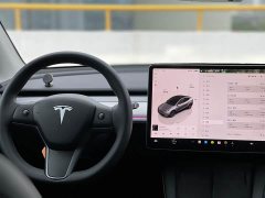 Tesla Model Y Rear-Wheel Drive - ფოტო 10