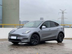 Tesla Model Y Rear-Wheel Drive - ფოტო 12