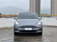 Tesla Model Y Rear-Wheel Drive - ფოტო 13