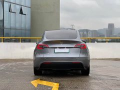 Tesla Model Y Rear-Wheel Drive - ფოტო 16